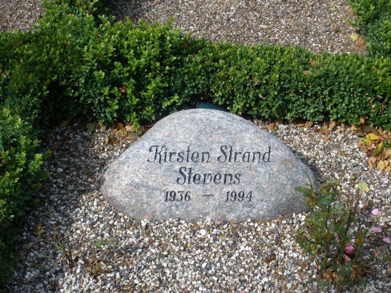 Kirsten Strand Stevens.JPG